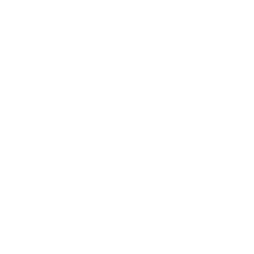 WeChat icon for XINHONG service